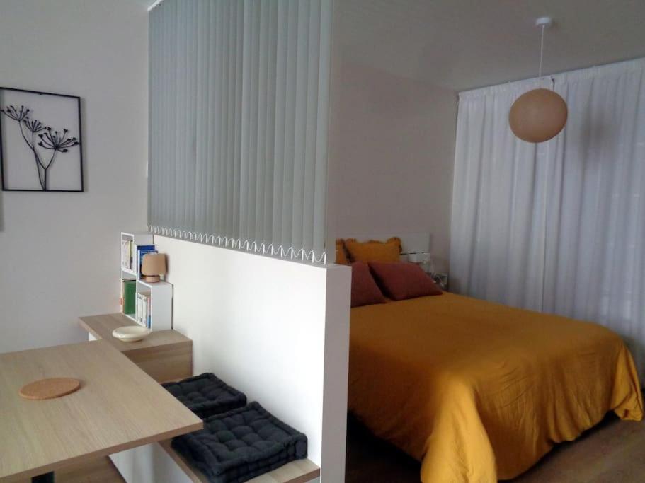 Appartement Hestia F1 Bis + Terrasse Hyper Centre Лон-ле-Сонье Экстерьер фото